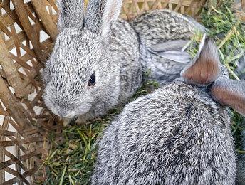 《幽灵线：东京》18分钟实际演示 多种技能对抗超自然之力